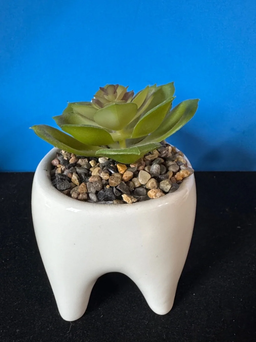 Ceramic Dog Planter with Faux Succulent - White